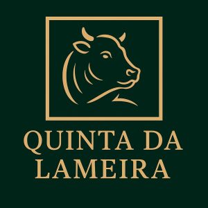 513898155 761975253069982 7714493403036190882 n