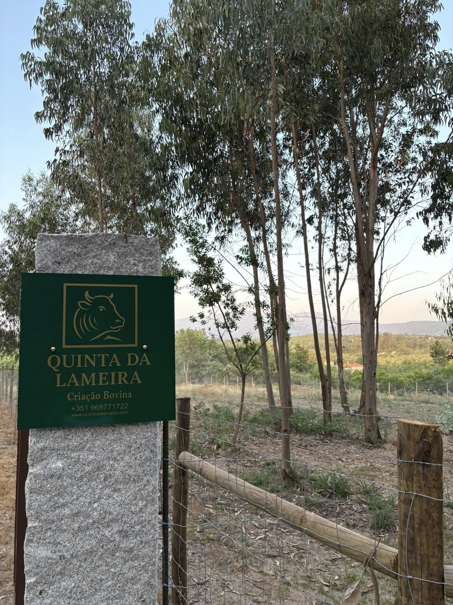 514982348 122097816806933706 2771244444894292134 n